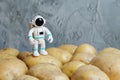 Plastic figurine of an astronaut in a spacesuit stands on the potato