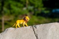 Plastic figurine of a toy lion on a stone