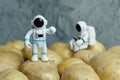 Plastic figurines of an astronauts in a spacesuit stands on the potato