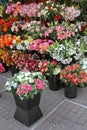 Plastic Florist Shop Royalty Free Stock Photo
