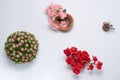 Plastic Flower decaration on withe background Royalty Free Stock Photo