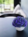 Plastic flower pot on the table in coffee shop, stock photo Royalty Free Stock Photo