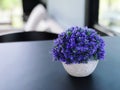 Plastic flower pot on the table in coffee shop, stock photo Royalty Free Stock Photo