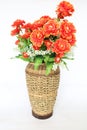 Plastic Flower is in wicker basket or rattan basketry or rattan pot isolated on white background. decoration for interior.