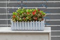 Plastic Flowers Picket Pot