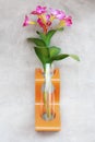 Plastic flowers in a vase. Royalty Free Stock Photo