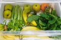 Plastic free bananas,salad, spinach, celery, apples, orange in fridge. Zero waste grocery shopping. Fresh vegetables in opened