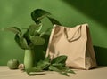 Plastic free set with cotton bag, glass jar, green leaves and recycled tableware top view. Zero waste, eco friendly Royalty Free Stock Photo