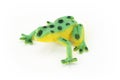 Plastic Frog Royalty Free Stock Photo