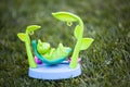 Plastic frog hammock grass background Royalty Free Stock Photo