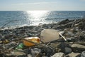 Plastic fuel tank discarded on contaminated sea coast ecosystem,environmental waste pollution
