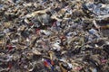 Plastic garbage at Dadar beach, Bombay Mumbai, Maharashtra, India Royalty Free Stock Photo
