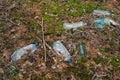 Plastic garbage in forest. Used disposable plastic bottles, containers and glass bottles in forest clearing. Pollution environment Royalty Free Stock Photo