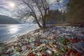 Plastic garbage lake