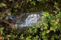 Plastic garbage left in the forest. Littered with the natural en Royalty Free Stock Photo