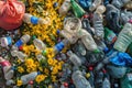 Plastic garbage in nature. Rethinking waste Royalty Free Stock Photo