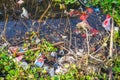 Plastic garbage on the river. Environmental pollution problem