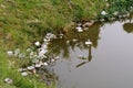 Plastic garbage in the river , pollution and environment in water