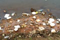 Plastic garbage in the river , pollution and environment in water Royalty Free Stock Photo