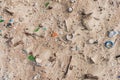 Plastic garbage in sand on beach. Pollution by microplastic rubbish on coastline Royalty Free Stock Photo