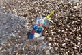 Plastic garbage on sea beach. Disposable plastic cup thrown by sea wave on shore. Concept - Pollution of water area household