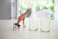 Plastic Giraffe and Cow Beside Empty Glass Cups Royalty Free Stock Photo