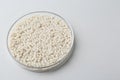 Plastic granules in petri dish on gray background, closeup. Space for text Royalty Free Stock Photo