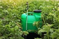 Plastic green backpack container sprayer with liquid of pesticide, herbicide for protecting plants from diseases and