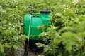 Plastic green backpack container sprayer with liquid of pesticide, herbicide for protecting plants from diseases and