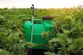 Plastic green backpack container sprayer with liquid of pesticide, herbicide for protecting plants from diseases and