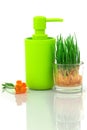 Plastic green bottle with fresh sprouts of wheat in glass bowl a Royalty Free Stock Photo