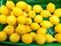 plastic green box at the market plenty of heap yellow lemons ready to be sold to customers