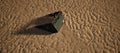 Plastic green crate lying in rippled sand of beach. Royalty Free Stock Photo