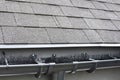 Plastic guard brush in grey plastic rain gutter on asphalt shingles roof.