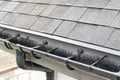 Plastic guard brush in grey plastic rain gutter on asphalt shingles roof.