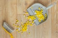 Plastic hand yellow broom with a grey dustpan on the wooden floor. Cleaning the house concept. Sweeping with a brush and scoop.