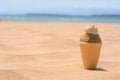 Plastic ice cream shaped mold with ball of sand and seashell on beach. Space for text Royalty Free Stock Photo