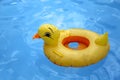 Plastic inflatable duck in swimming pool