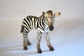 A plastic kids toy zebra on a white background.