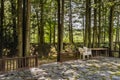 Plastic lawn chairs beside wooden table on patio