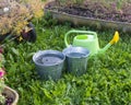 a plastic light green watering can and two metal buckets of water on the ground with green grass Royalty Free Stock Photo