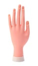 Mannequin Hand Front