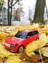 Plastic model car on the yellow autumn leaves Royalty Free Stock Photo