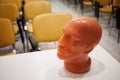 Plastic model of human head for cosmetology