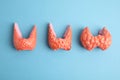 Plastic models of healthy and afflicted thyroids on light blue background, flat lay Royalty Free Stock Photo