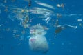Plastic and other debris floats underwater in blue water. Plastic garbage polluting seas and ocean Royalty Free Stock Photo