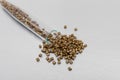 Plastic pallets . Plastic raw materials in granules for industry.Polymeric dye gold on a silver background. Plastic granules after Royalty Free Stock Photo