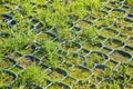 Plastic parking grid with grass and permeable to rain water as required by the building laws