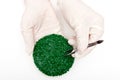 Plastic pellets . Colorant for polymers in granules. Plastic pellets in the hands with gloves and tweezers. Royalty Free Stock Photo