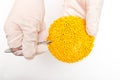 Plastic pellets . Colorant for polymers in granules. Plastic pellets in the hands with gloves and tweezers Royalty Free Stock Photo